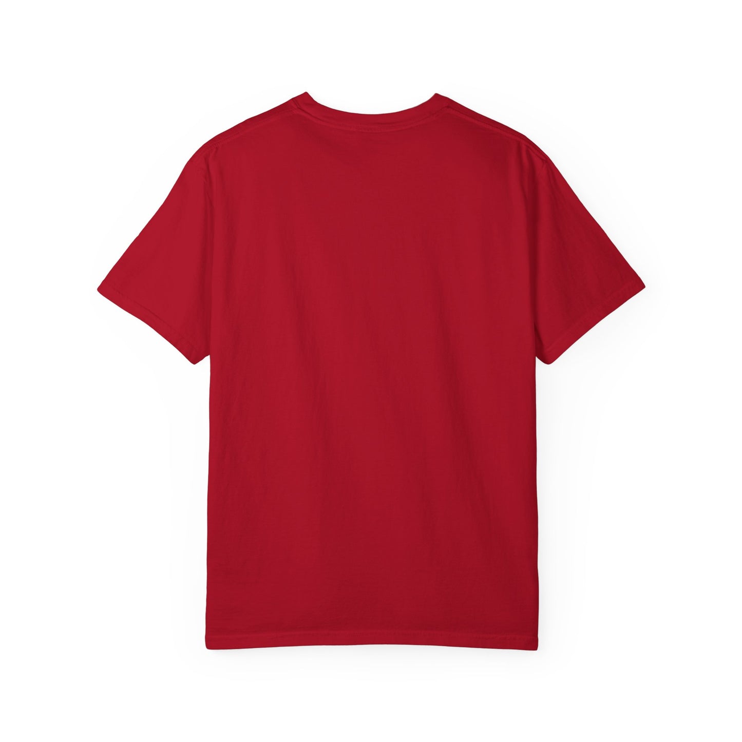 Certified Professional EPAV T-shirt